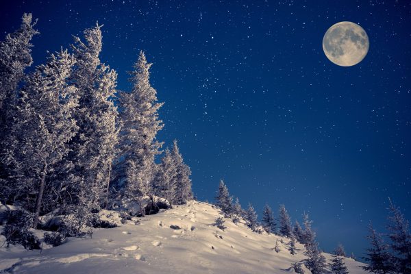Vollmond Winter Shutterstock 227731744